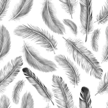 Freehand kuş tüyü çiziyor. Kabilenin kusursuz deseni. Grafik biçiminde beyaz arkaplanda izole.