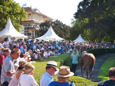 Etrafı saran bir at, insanlar bahislerini yazıyor. Racetrack Iffezheim, Baden-Baden, Almanya.