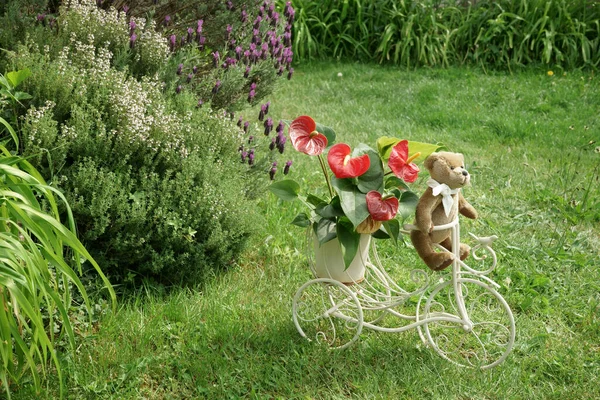 一只老式的泰迪熊在花园里驾驶着一辆复古三轮车 车上的花盆里装着火烈鸟花 绿色的植被和薰衣草 复制空间 — 图库照片
