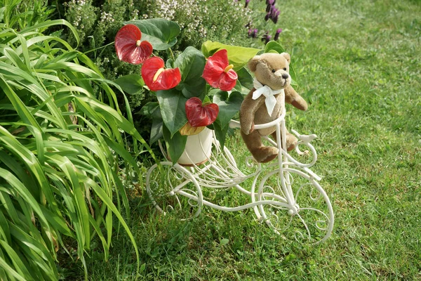 A vintage Teddy bear in a garden driving a retro tricycle with a flower pot containing Flamingo flowers. Green vegetation and lavender. Copy space.