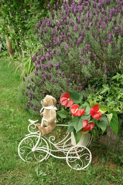 一只老式的泰迪熊在花园里驾驶着一辆复古三轮车 车上的花盆里装着火烈鸟花 绿色的植被和薰衣草 复制空间 — 图库照片