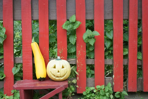 A Jack-o`-lantern pumpkin and a golden zucchini on a red wooden stool. Green vegetation looking through a red rustic wooden fence in the background. Copy space on the right.