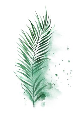 Poster tropikal tasarım. Yeşil palmiye yaprağı ve suluboya lekeler.
