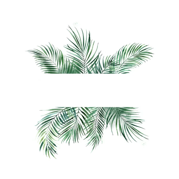 Frame of green tropical palm leaves. Natural design. — ストック写真