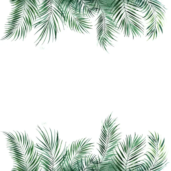 Ram kant gjord av gröna tropiska palmblad. Naturlig design för tryck. — Stockfoto