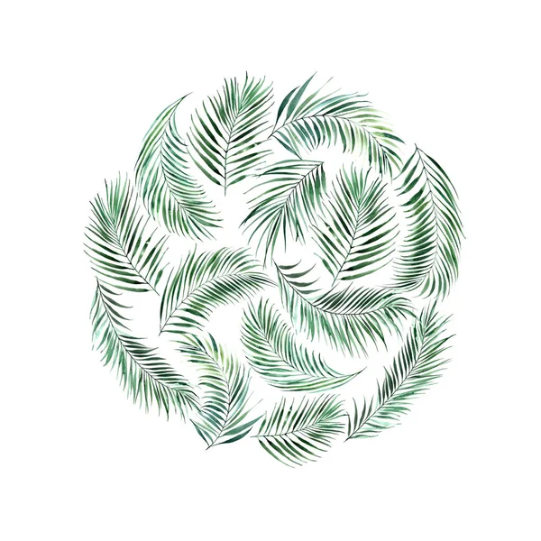 Circle made of palm leaves. Green tropical leaves watercolor illustration. — ストック写真