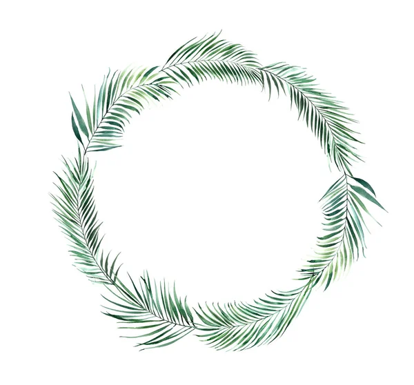 Round frame of green tropical palm leaves. — ストック写真