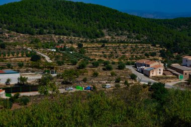 Benizar, Moratalla 'daki Badem Mahsulleri (İspanya)
