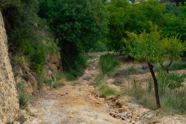 Benizar, Moratalla 'daki Badem Mahsulleri (İspanya)