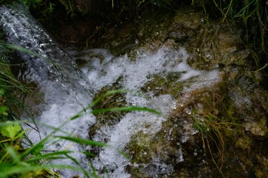 Benizar, Moratalla ormanlarındaki dereler, (İspanya)