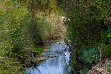 Benizar, Moratalla ormanlarındaki dereler, (İspanya)