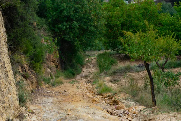 Benizar, Moratalla 'daki Badem Mahsulleri (İspanya)