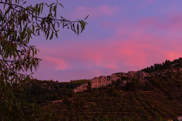 Atardecer Anochecer Almendros Benizar Moratalla España — Foto de Stock