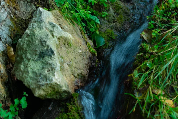 Arroyos Los Bosques Benizar Moratalla España — Foto de Stock