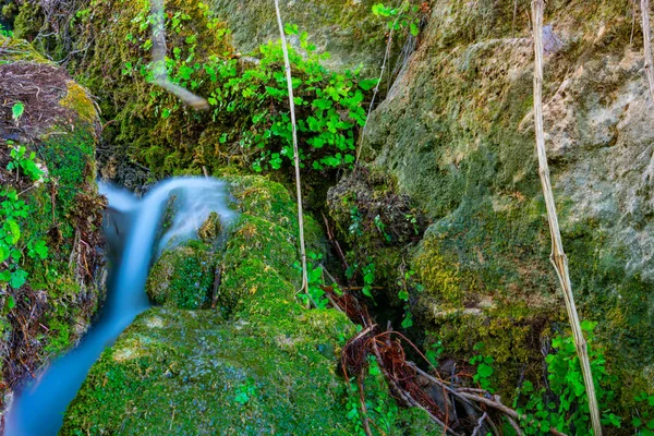 Ruisseaux Dans Les Forêts Benizar Moratalla Espagne — Photo