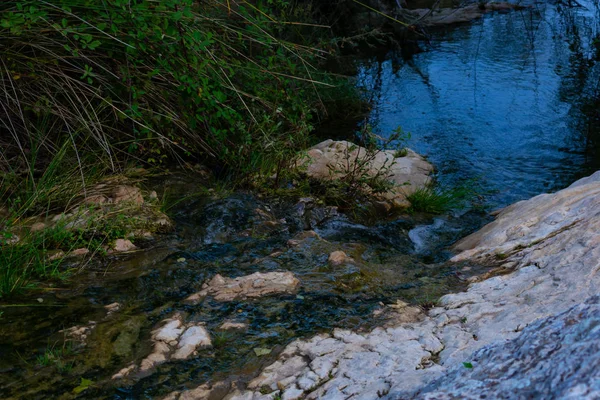 Bäche Den Wäldern Von Benizar Moratalla Spanien — Stockfoto