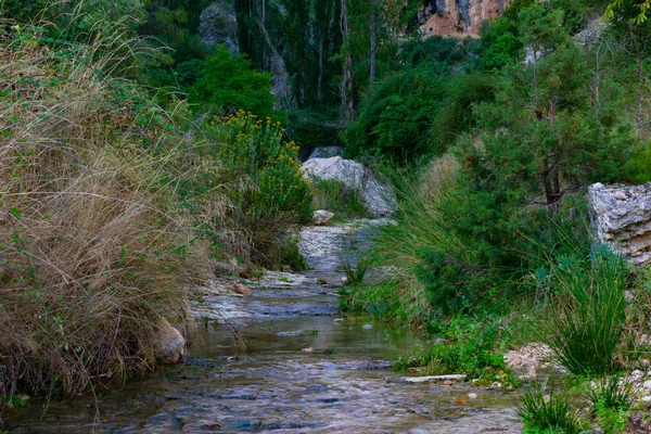 Córregos Nas Florestas Benizar Moratalla Espanha — Fotografia de Stock