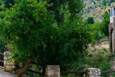 Benizar 800 metre yüksekliğinde bir köydür. İnanılmaz tipik bir mutfağı ve harika manzarası var. Murcia (İspanya), İspanya 'nın Moratalla ilçesine bağlı bir şehirdir.)