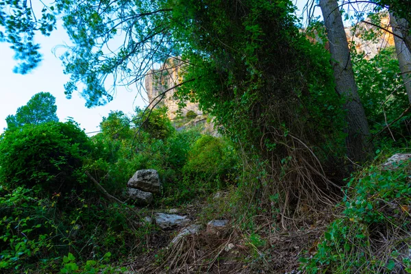 Floresta Alamos Benizar Moratalla Espanha — Fotografia de Stock