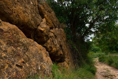 Badem ağacı yolları, İspanya