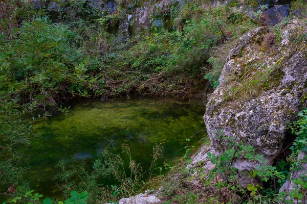 穆尔西亚莫拉塔拉Benizar青蛙池 西班牙 — 图库照片