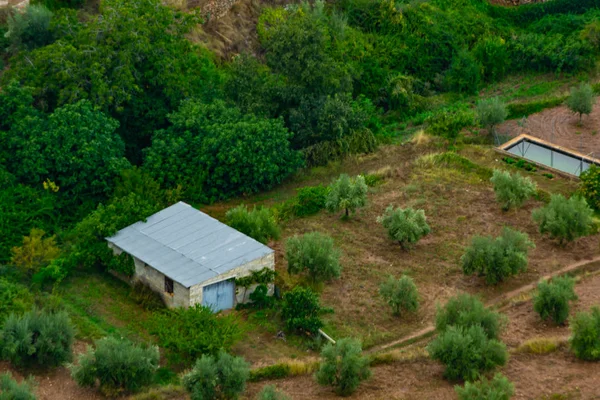 Benizar, Moratalla 'da mahsul (İspanya)