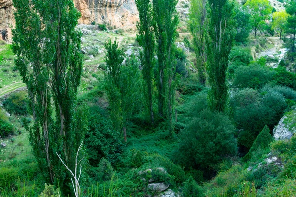 Печери Бенізарі Мораталла Іспанія — стокове фото