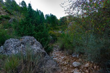 Benizar köyü, Moratalla 'daki kayalar (İspanya)