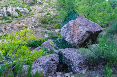 Benizar köyü, Moratalla 'daki kayalar (İspanya)