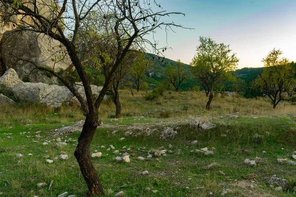 Hrad Benizar Ikonou Této Vesnice Moratalla Španělsku — Stock fotografie