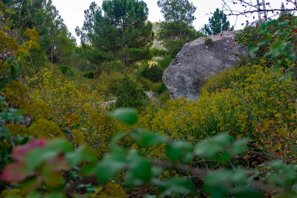 Камінь Лісі Села Бенізар Мораталла Іспанія — стокове фото