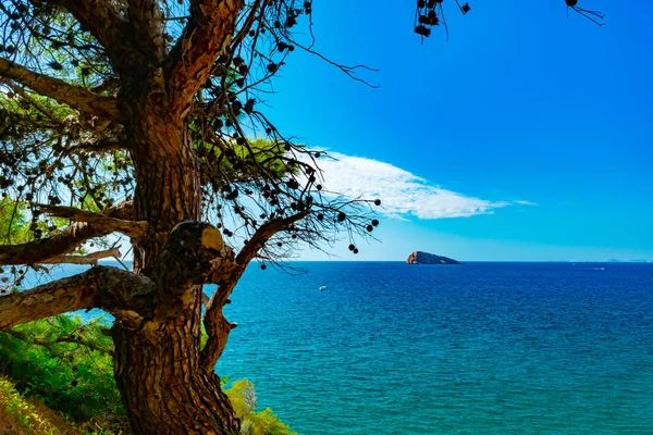 Insula Benidorm Din Alicante Spania Fotografie de stoc