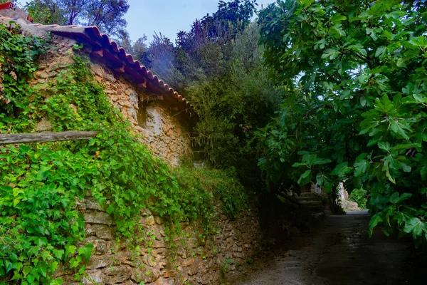 Casas Rurales Pueblo Benizar Moratalla España — Foto de Stock