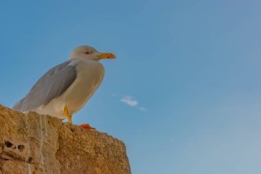 Denia Castle şehrin bir simgesidir ve ziyaret etmek zorundadır.
