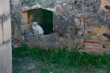 Denia Castle şehrin bir simgesidir ve ziyaret etmek zorundadır.