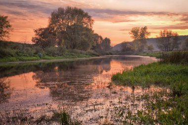 yaz manzarası pembe ve turuncu gün batımı sakin nehir ve sahildeki ağaçlar üzerinde