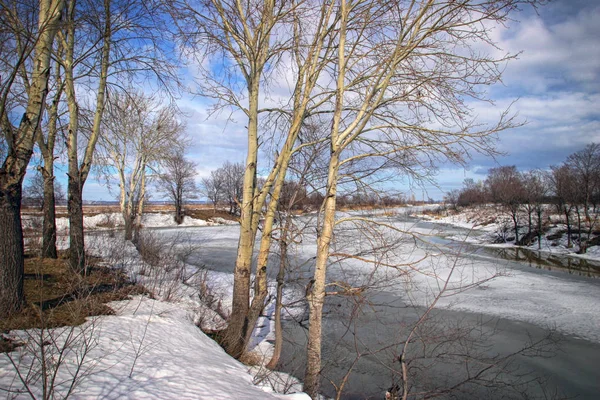 Malerische Frühlingslandschaft Mit Geschmolzenem Flusseis Kahlen Bäumen Und Schönen Wolken — Stockfoto