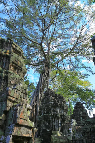 Αρχαία Αρχιτεκτονική Του Angkor Wat Καμπότζη Μια Ηλιόλουστη Ημέρα — Φωτογραφία Αρχείου