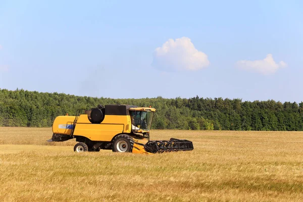 Paysage Été Combiner Moissonneuse Dans Les Champs Par Une Journée — Photo