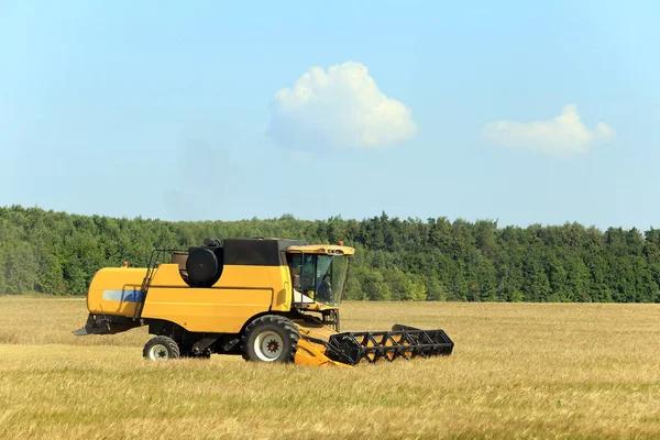 Paysage Été Combiner Moissonneuse Dans Les Champs Par Une Journée — Photo