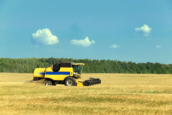 Paysage Été Combiner Moissonneuse Dans Les Champs Par Une Journée — Photo