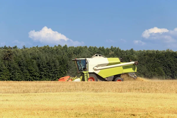 Paisaje Verano Combinan Cosechadora Los Campos Día Soleado — Foto de Stock