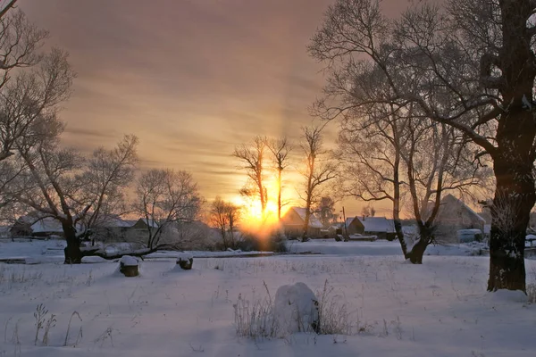 Longo Passeio Natureza Inverno Russo Nevado — Fotografia de Stock