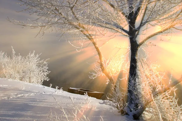 Zimní Krajina Zamlžené Ráno Řece Při Východu Slunce — Stock fotografie