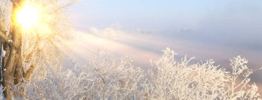 Kış manzarası ağaçları ve çalılar nehirdeki buzlar ve su buharı.