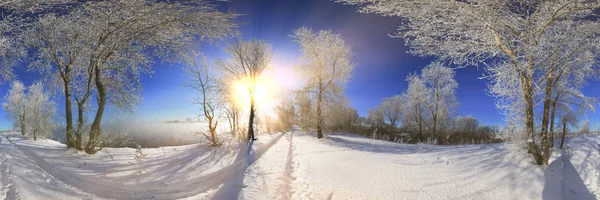 360幅全景全景 冬景树木在霜冻中飘扬 雪地飘扬在河上 阳光明媚 — 图库照片