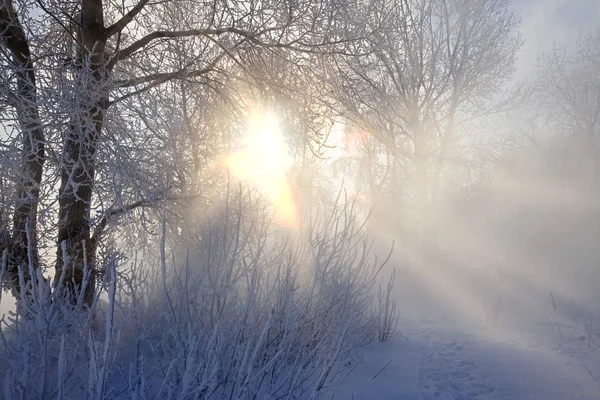 Journée Ensoleillée Hiver Sur Rivière Kama — Photo