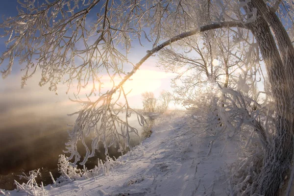 Kama Nehrinde Güneşli Bir Kış Günü — Stok fotoğraf