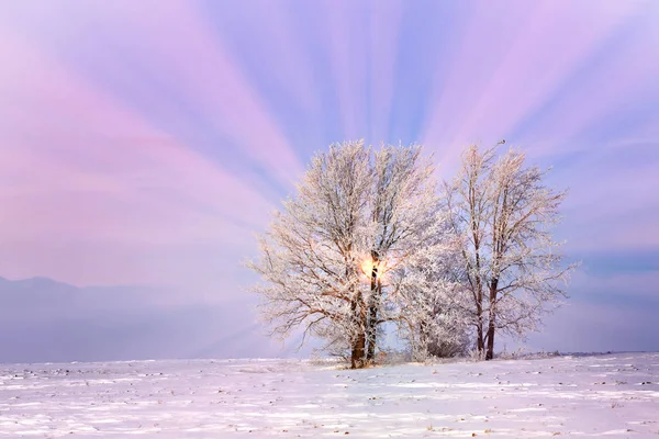 Caminhe Pela Bela Cena Inverno Rússia — Fotografia de Stock