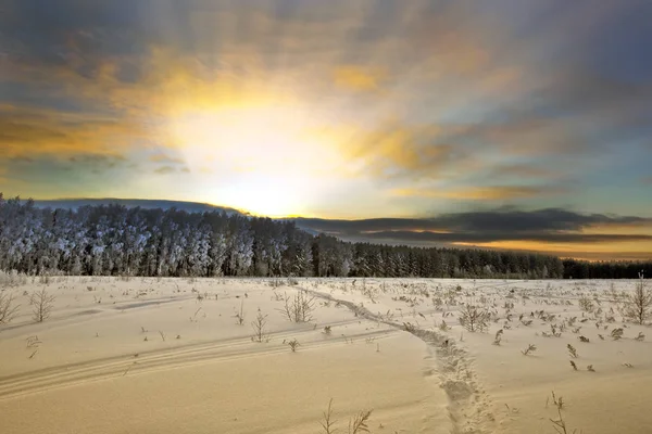 Rim Sıvanmış Bir Ağaçta Dondurucu Bir Kış Sabahı — Stok fotoğraf